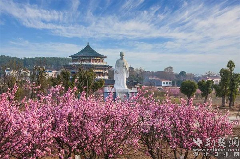 孟宗公園.jpg