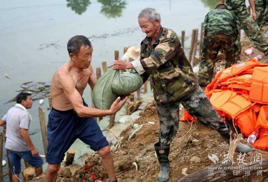 軍民協(xié)防，保衛(wèi)家園。20160713省武警部隊(duì)馳援高橋河河頭村截流港潰口。_副本.jpg