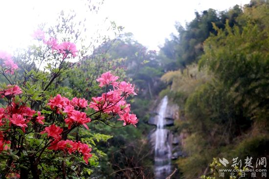 黃龍山頂，風景如畫 黃錚 攝_副本.jpg.jpg