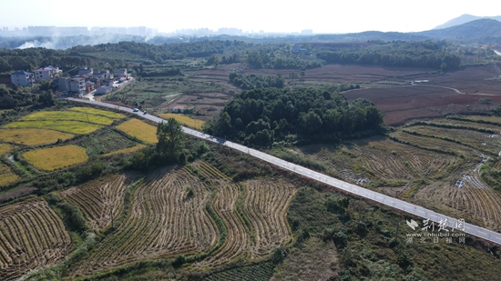 城東管理區(qū)原種場.jpg